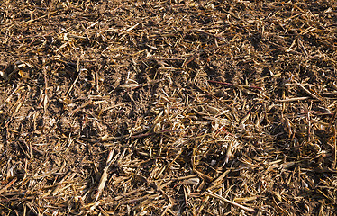 Image showing Photo agriculture, Europe 