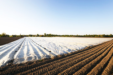 Image showing plowed for crop land  