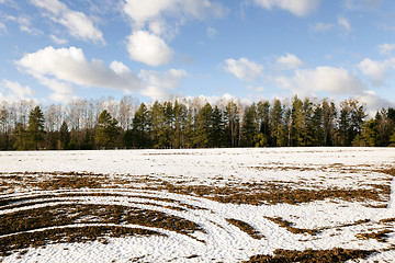 Image showing winter   with snow