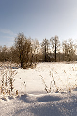 Image showing winter time   with snow