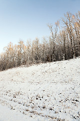 Image showing Winter Park ,  snow.