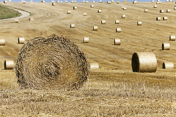 Image showing haystacks in a field of straw  