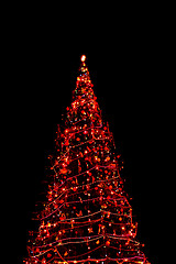 Image showing High Christmas tree shining at night