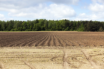 Image showing plowed land, furrows  