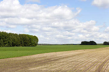 Image showing plowed for crop land  