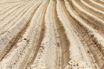 Image showing plowed land. close-up 