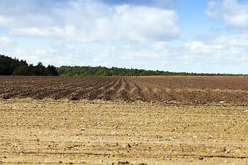 Image showing plowed land, furrows  