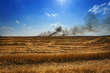 Image showing Fire in the field  