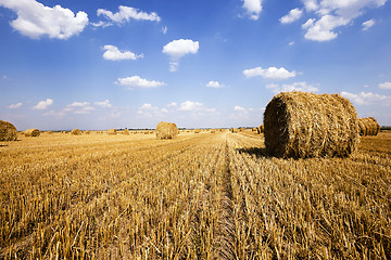 Image showing stack of straw in the field  