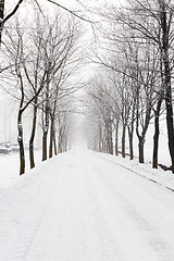 Image showing path in the snow  
