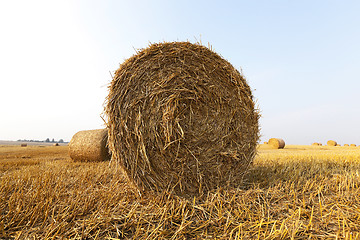 Image showing haystacks in a field of straw  