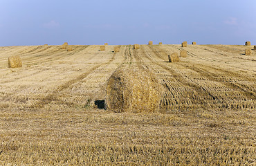 Image showing haystacks straw , close up