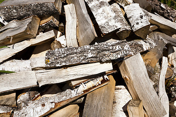 Image showing firewood in nature  