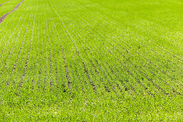 Image showing road in a field  