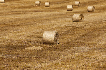 Image showing haystacks in a field of straw  