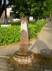 Image showing  streetside historic public water fountain for drinking or bathi