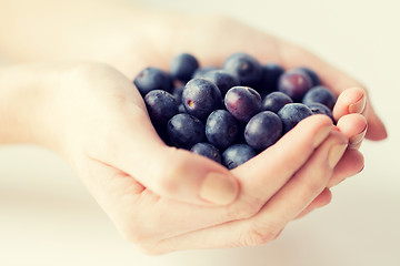 Image showing close up of woman hands holding blueberries