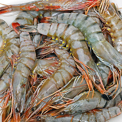 Image showing Tiger Prawns