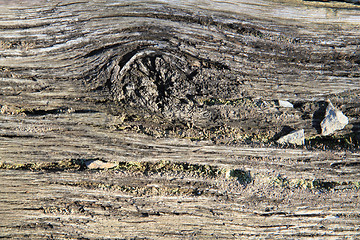 Image showing old wood texture 