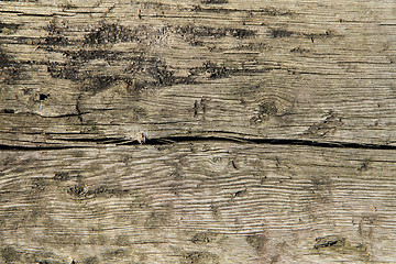 Image showing old wood texture 