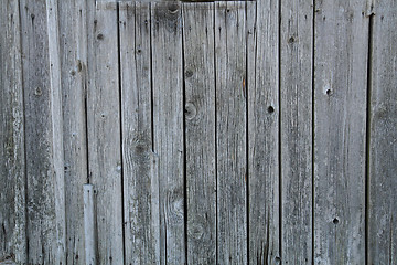 Image showing old wood texture 