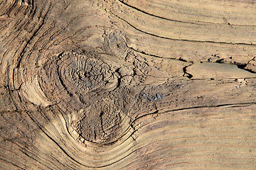 Image showing old wood texture 