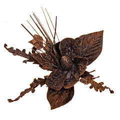 Image showing Black flower