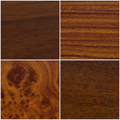Image showing Four wood samples