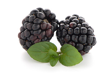 Image showing Blackberries with leaves