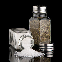 Image showing  Salt and oregano shakers