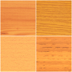 Image showing Four wood samples