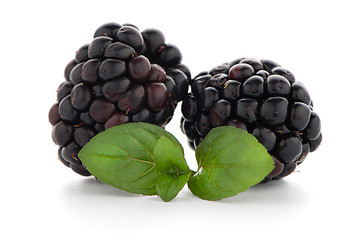 Image showing Blackberries with leaves