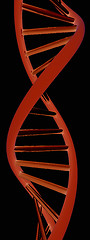 Image showing DNA structure model