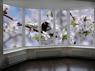 Image showing plastic windows overlooking the blossoming garden