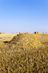 Image showing Stack of straw  