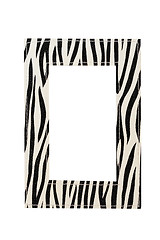 Image showing Zebra frame