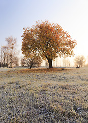 Image showing   autumn to winter