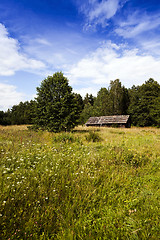 Image showing abandoned house ,  Belarus.