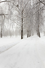 Image showing path in the snow 