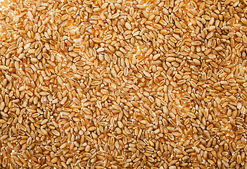 Image showing wheat , close up 