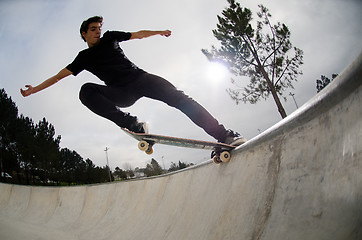 Image showing Skateboarder doing a tail slide