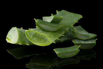 Image showing Sliced aloe leaf