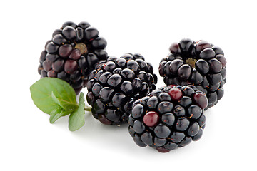 Image showing Blackberries with leaves