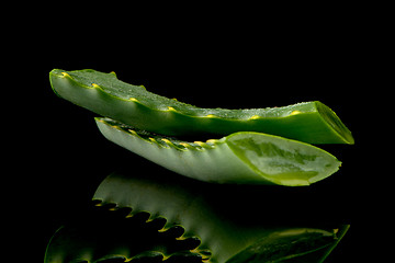 Image showing Sliced aloe leaf