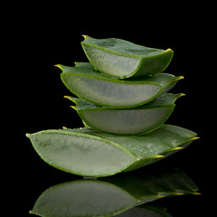 Image showing Sliced aloe leaf