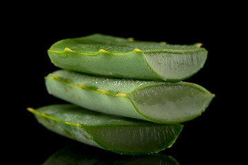 Image showing Sliced aloe leaf