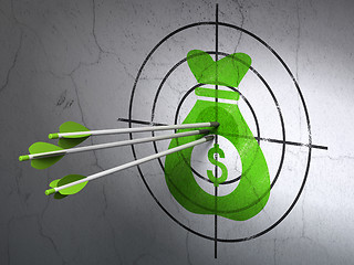 Image showing Business concept: arrows in Money Bag target on wall background