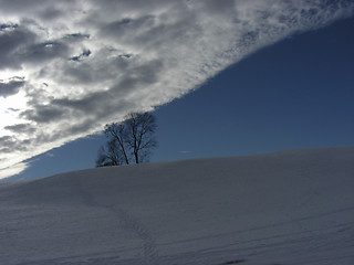 Image showing Winter landscape