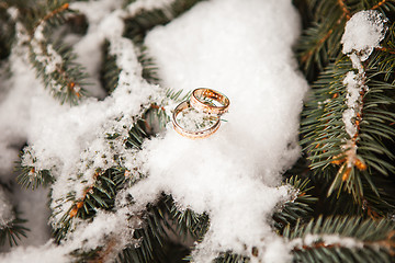 Image showing The wedding rings close up 