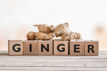 Image showing Ginger word with raw roots